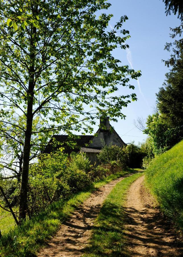 Le Bourmier Anlhiac Near Excideuil Villa Exteriör bild
