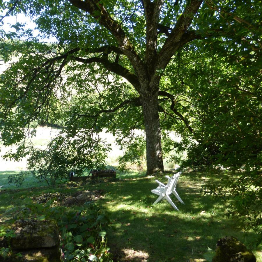 Le Bourmier Anlhiac Near Excideuil Villa Exteriör bild