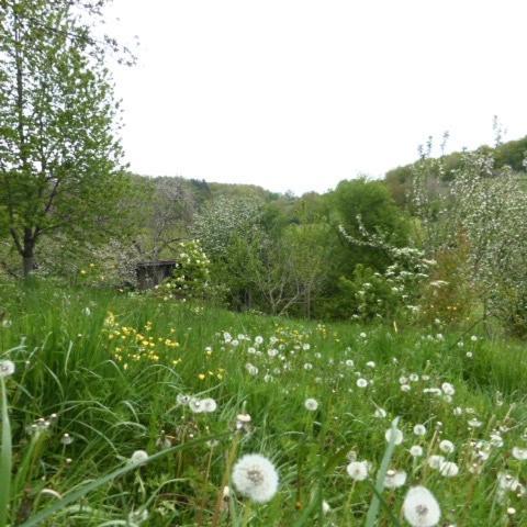 Le Bourmier Anlhiac Near Excideuil Villa Exteriör bild